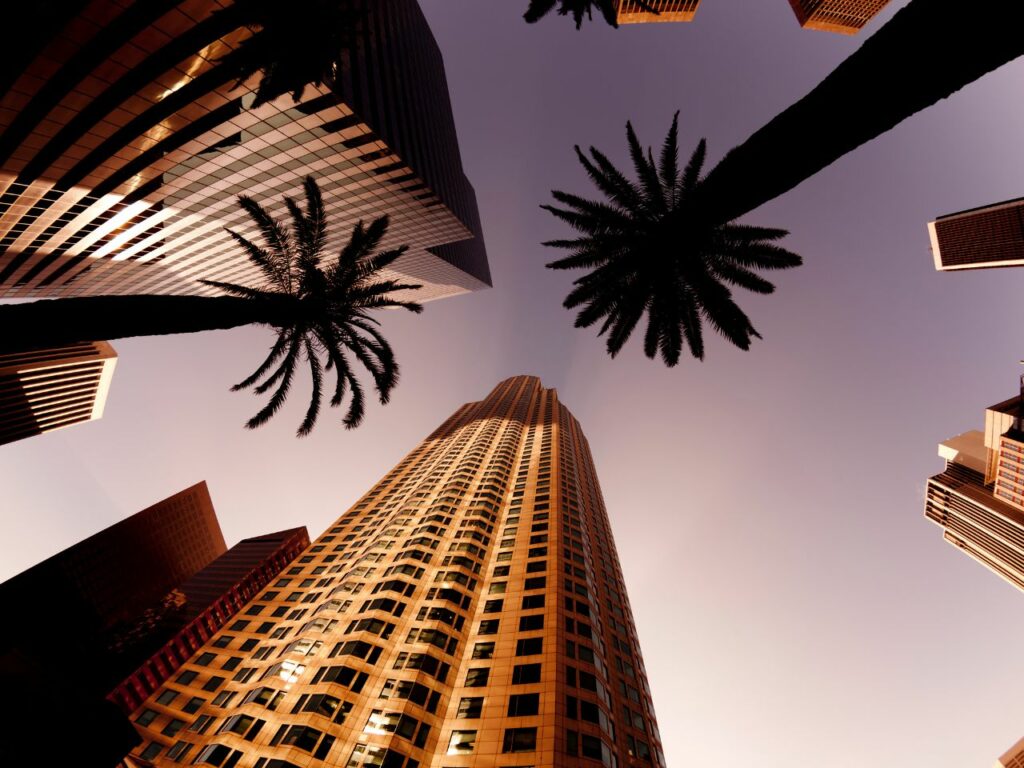 Tall buildings and palm trees in Los Angeles